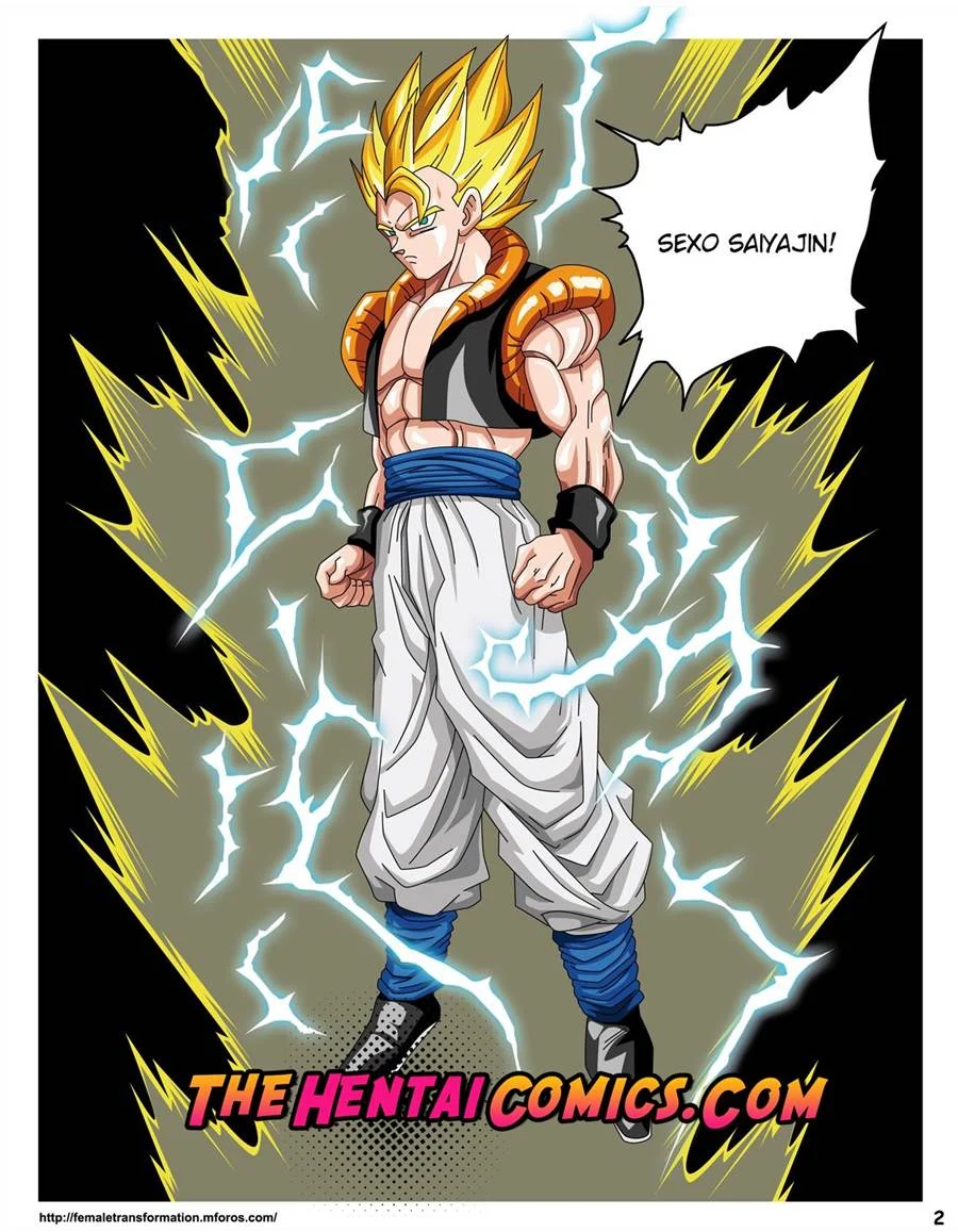 Dragon Ball H – Hentai – Ler HQ Completo